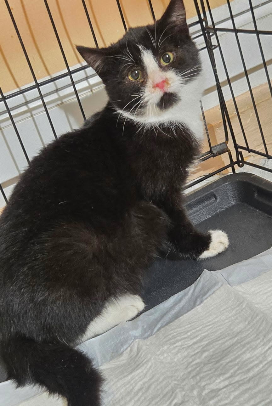 Zapobiegamy bezdomności